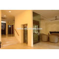 Cheap villa elevator with beautiful decoration and good quality from Delfar